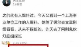 向太最新爆料,娱乐圈不为人知的真相大揭秘